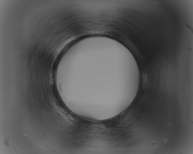 X0000103290628200809261250