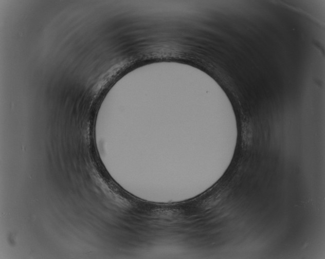 X0000103290629200809261250