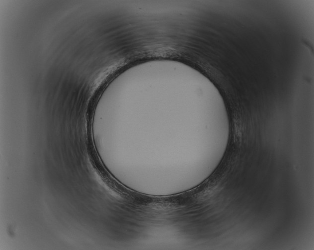 X0000103290630200809261250