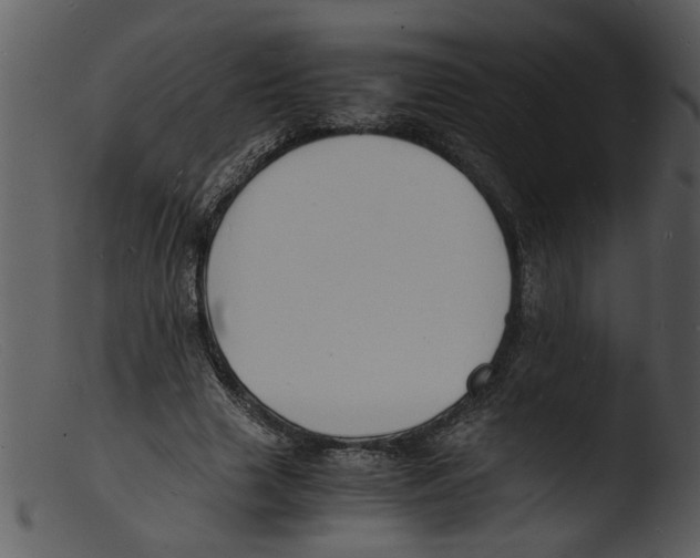 X0000103290633200809261250