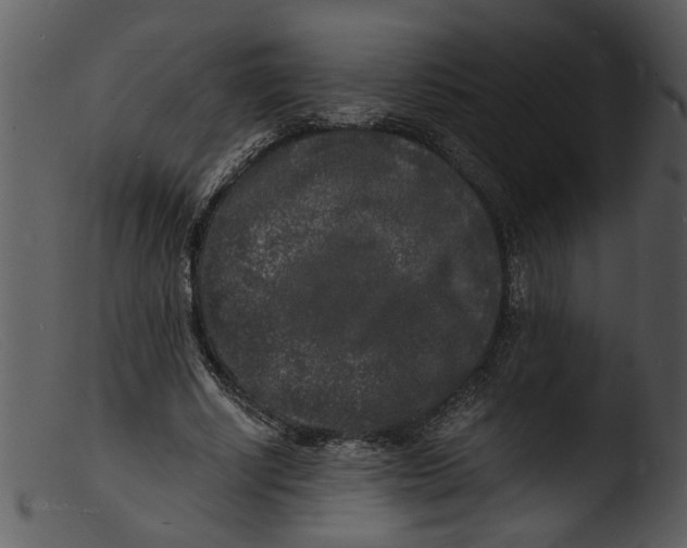 X0000103290634200809261250