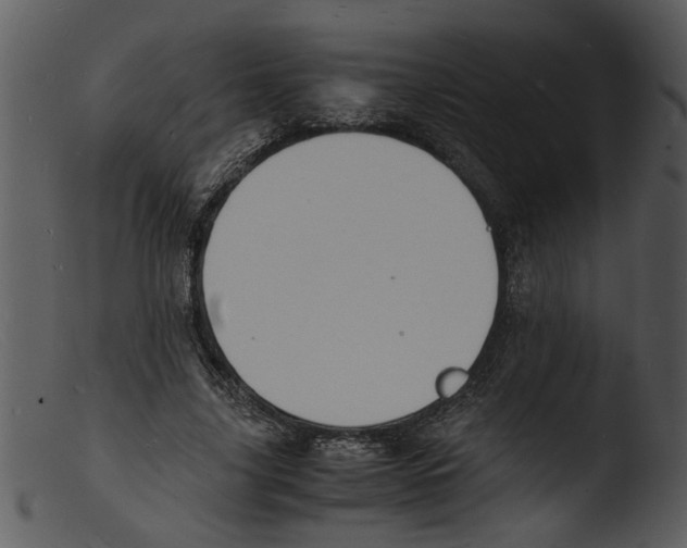 X0000103290635200809261250