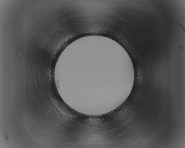 X0000103290636200809261250