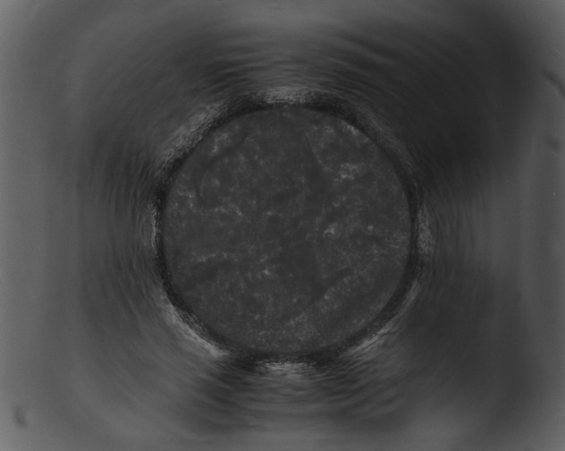 X0000103290637200809261250