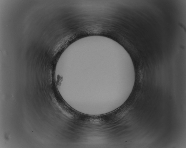 X0000103290638200809261250