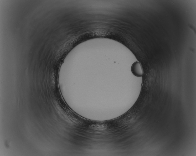 X0000103290639200809261250
