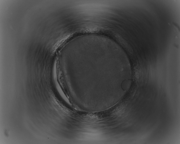 X0000103290640200809261250