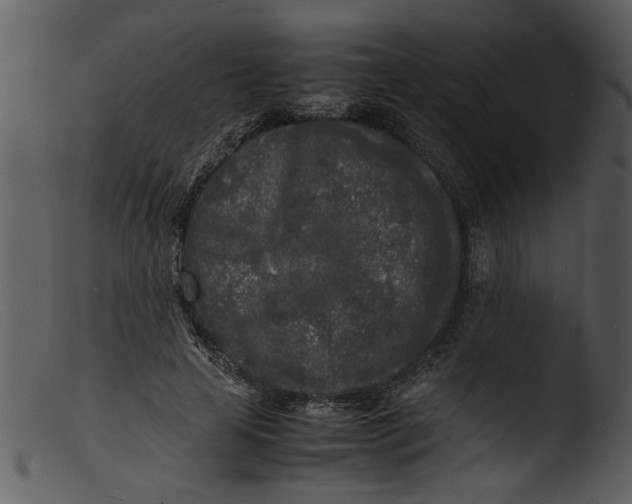 X0000103290641200809261250