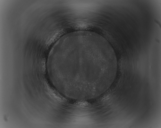 X0000103290642200809261250