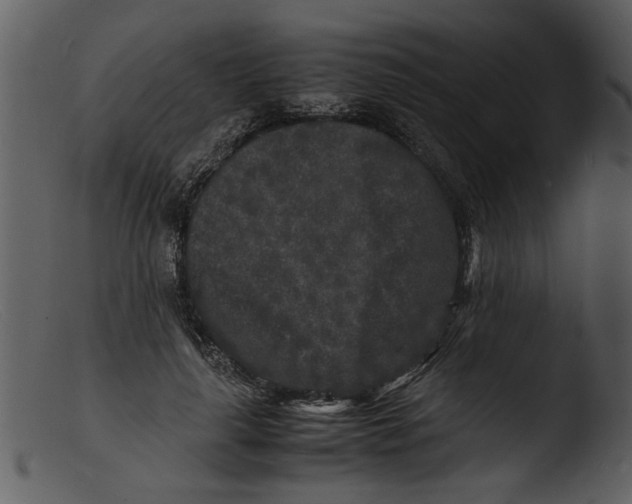 X0000103290643200809261250