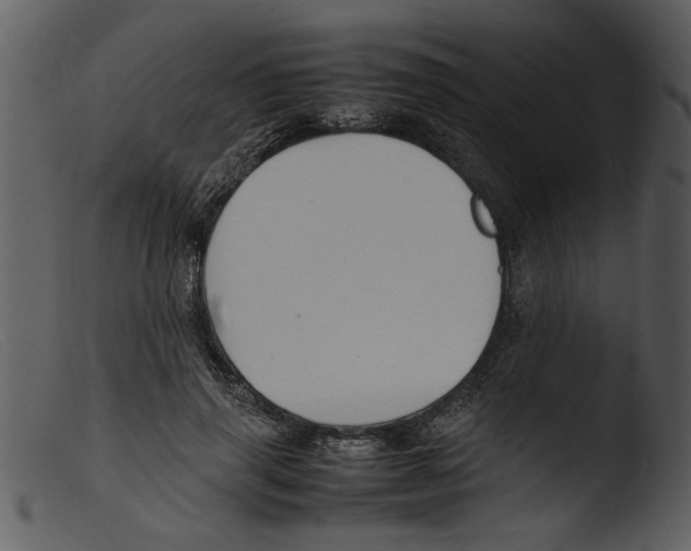 X0000103290645200809261251