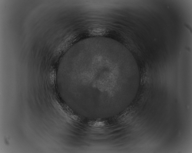X0000103290647200809261251