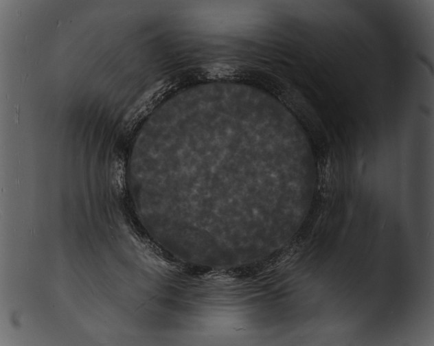 X0000103290648200809261251