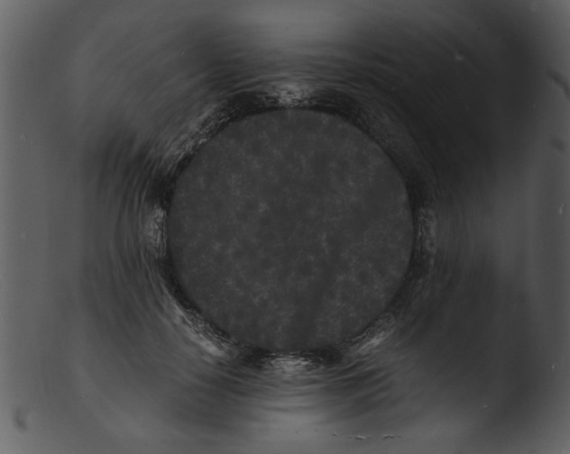 X0000103290650200809261251
