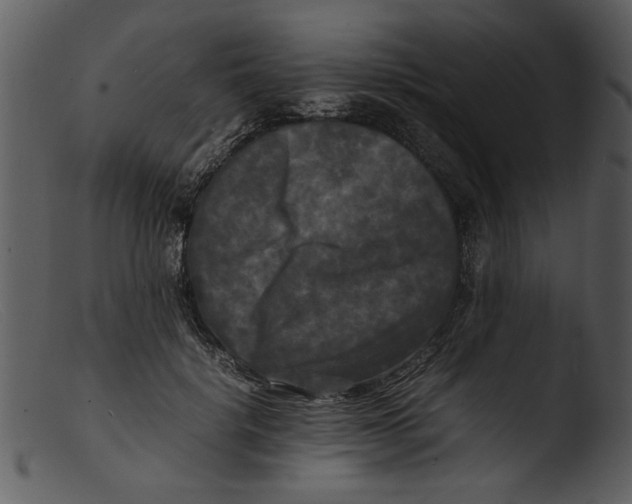 X0000103290652200809261251