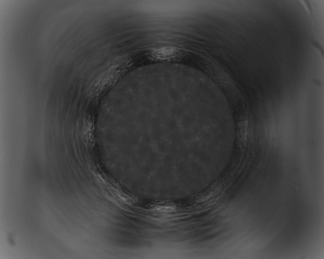 X0000103290653200809261251
