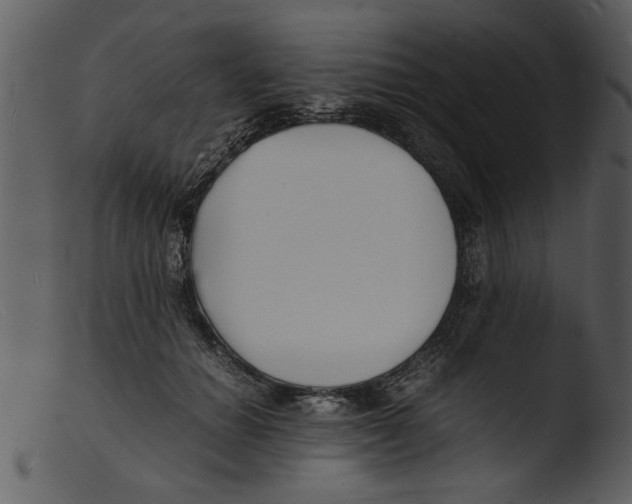 X0000103290654200809261251