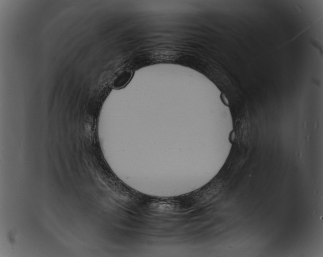 X0000103290655200809261251