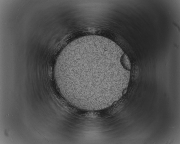 X0000103290656200809261251