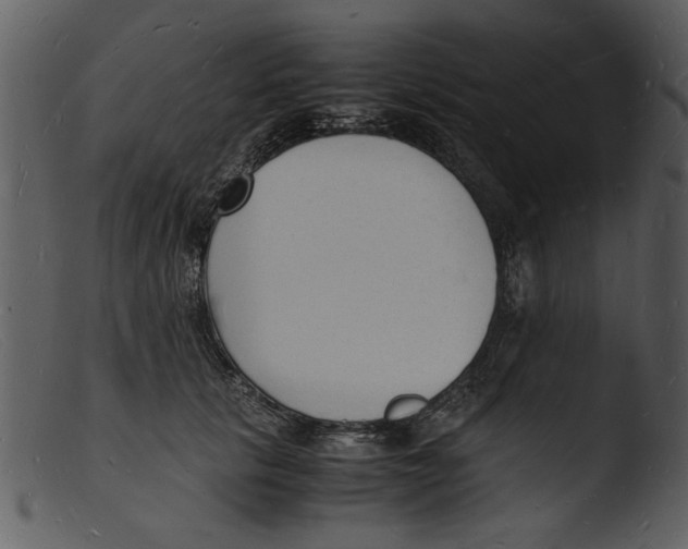 X0000103290657200809261251