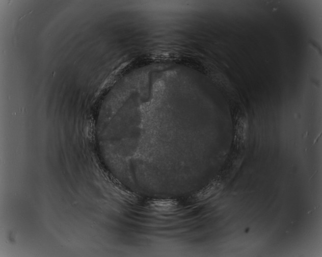 X0000103290659200809261251