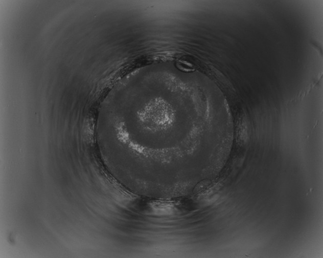 X0000103290661200809261251