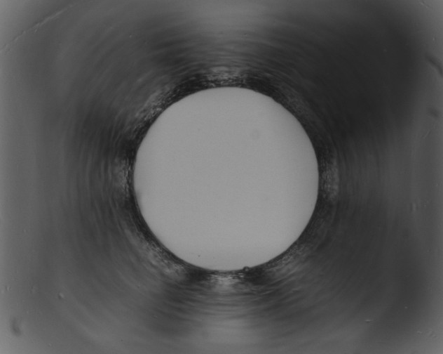 X0000103290662200809261251