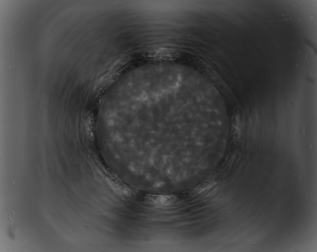 X0000103290663200809261251