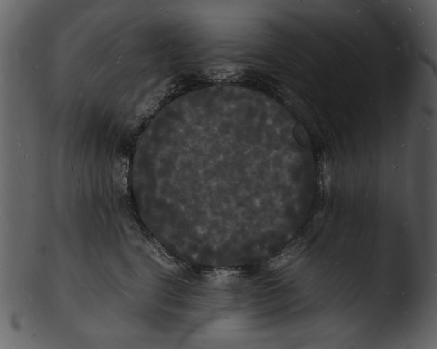 X0000103290664200809261251