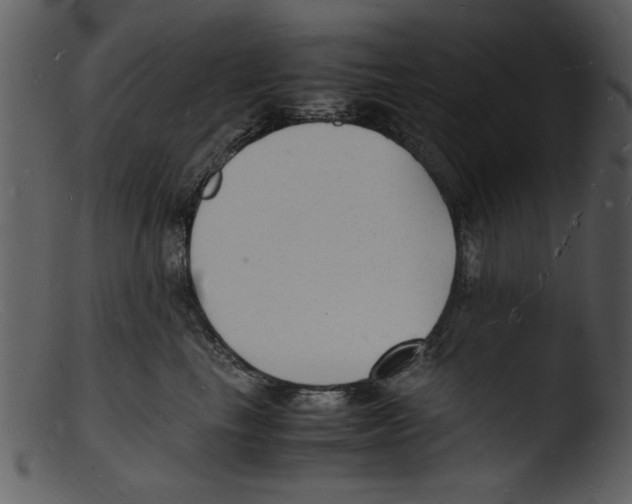 X0000103290665200809261251
