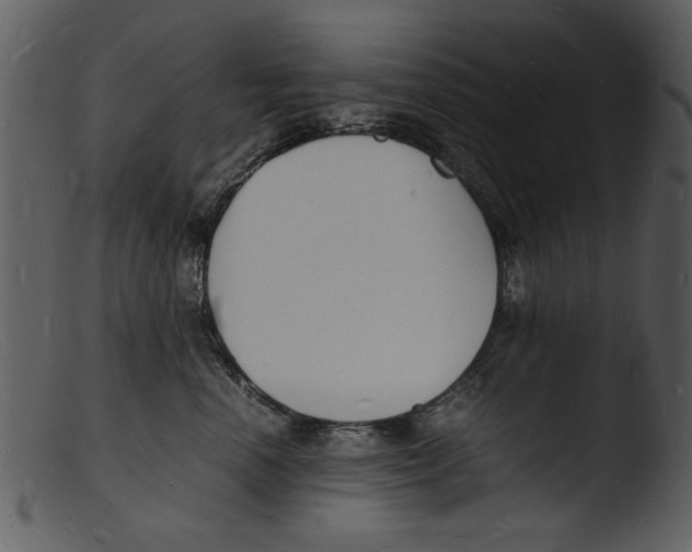 X0000103290666200809261251