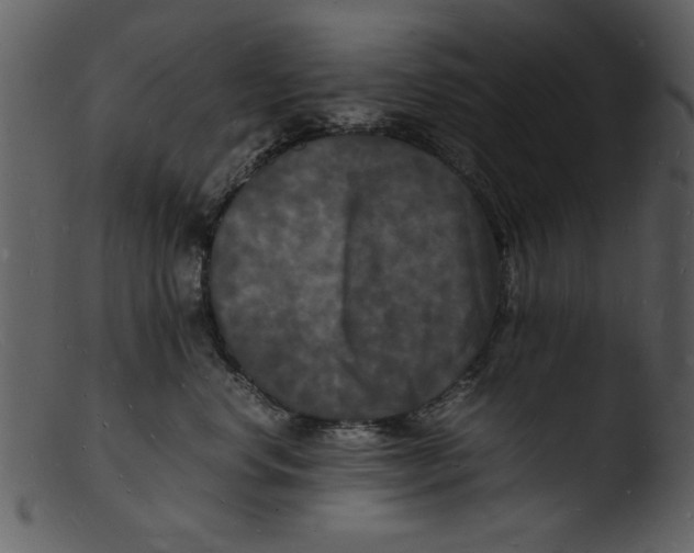 X0000103290668200809261251