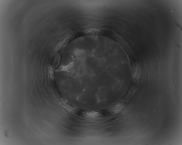 X0000103290669200809261251