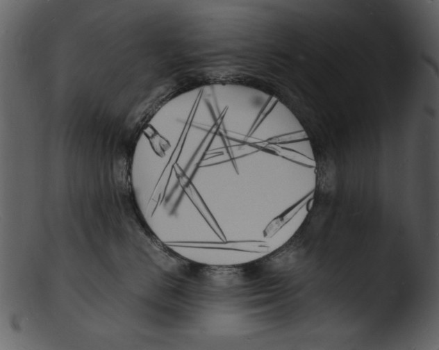 X0000103290670200809261251
