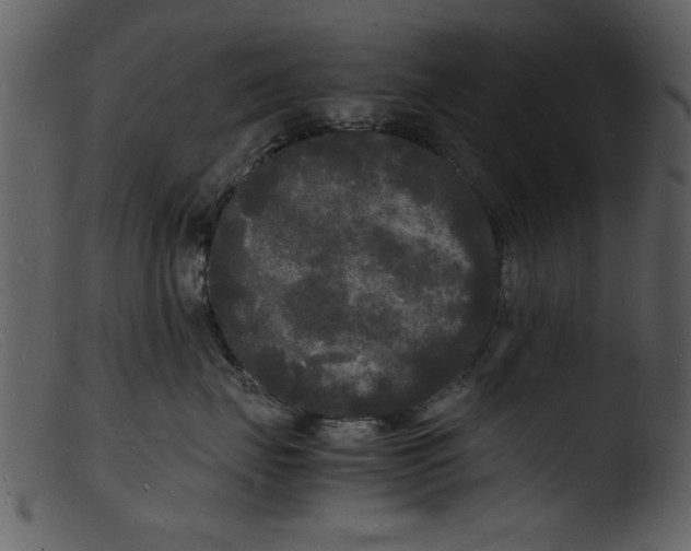 X0000103290671200809261251