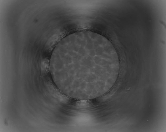 X0000103290672200809261251