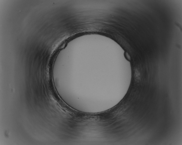 X0000103290676200809261250
