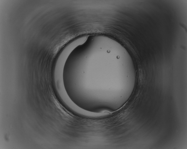 X0000103290677200809261250