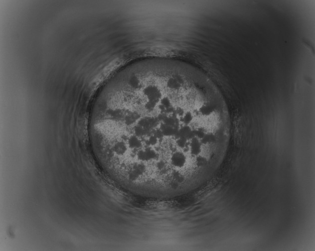 X0000103290679200809261250