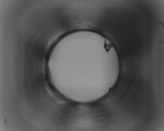 X0000103290680200809261250