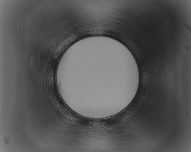 X0000103290681200809261250