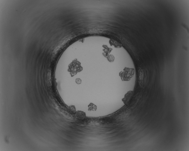 X0000103290684200809261250