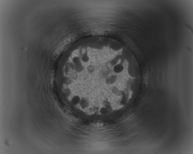 X0000103290687200809261250