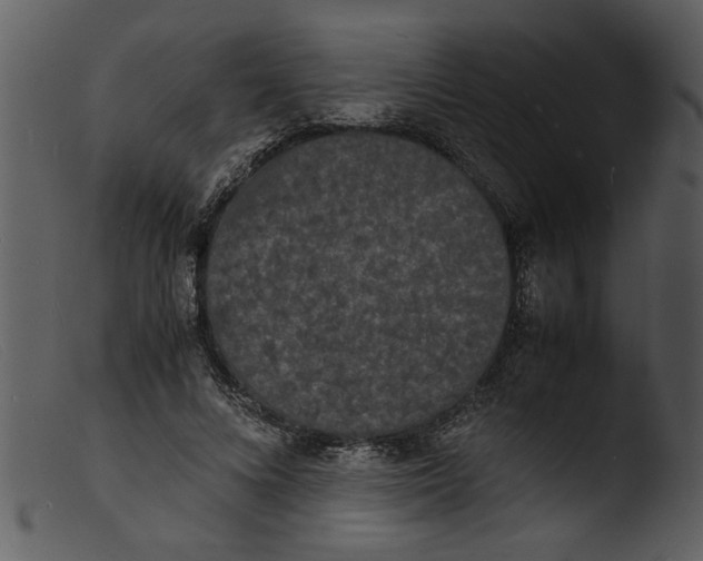 X0000103290688200809261250
