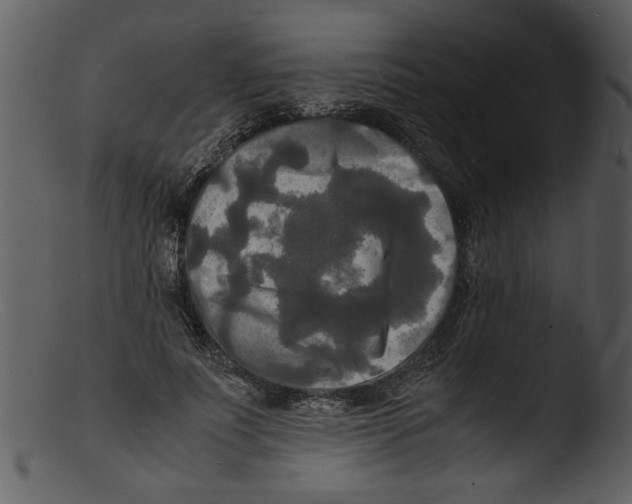 X0000103290691200809261250