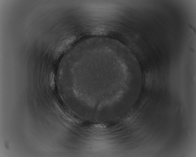 X0000103290692200809261250