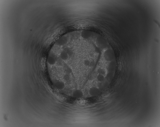 X0000103290695200809261250