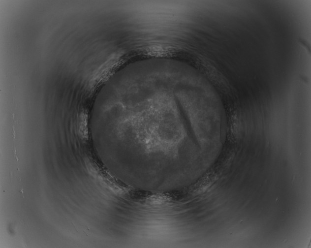 X0000103290696200809261250