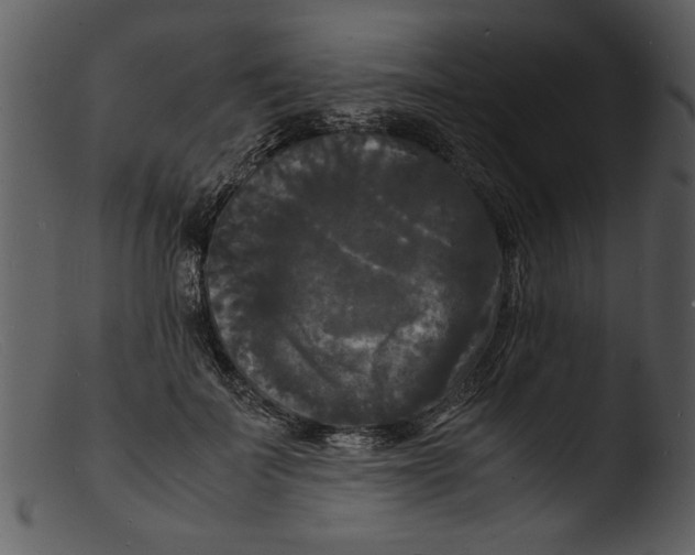 X0000103290699200809261250