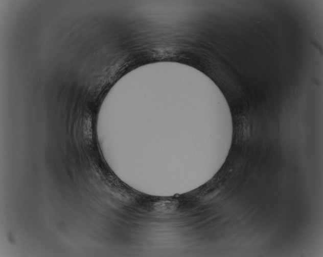 X0000103290700200809261250